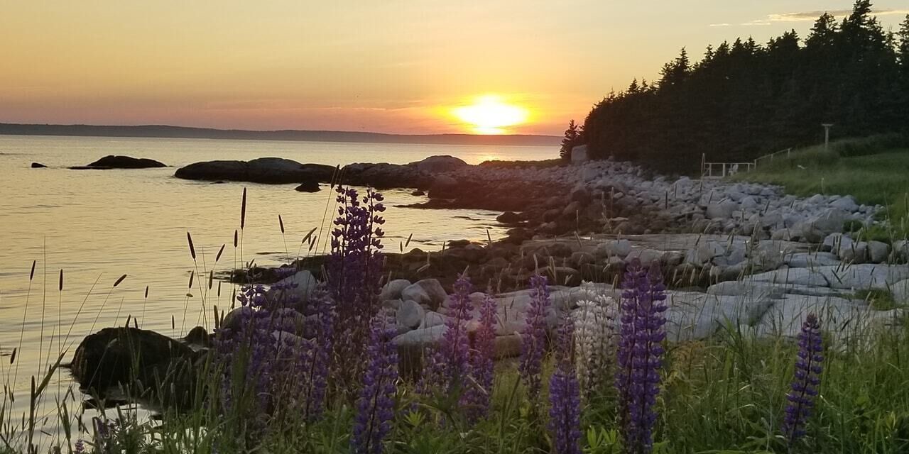 Photo of Others in Indian Harbour