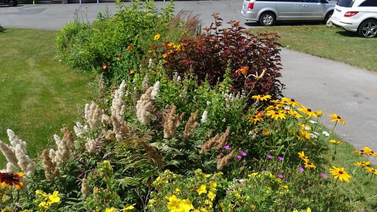Photo of Outdoor in Indian Harbour