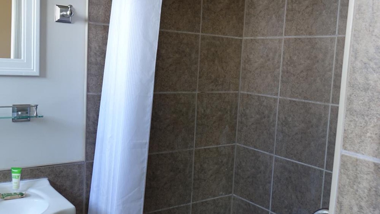 Photo of Others in Indian Harbour