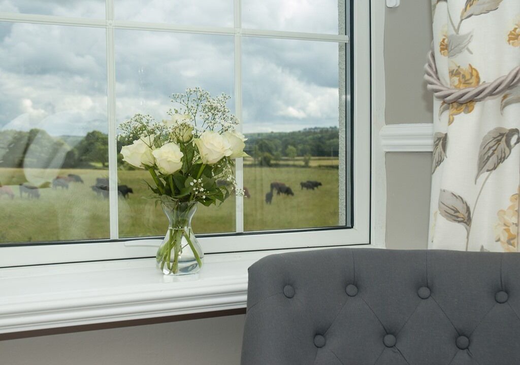 Photo of Others in Brazzacott