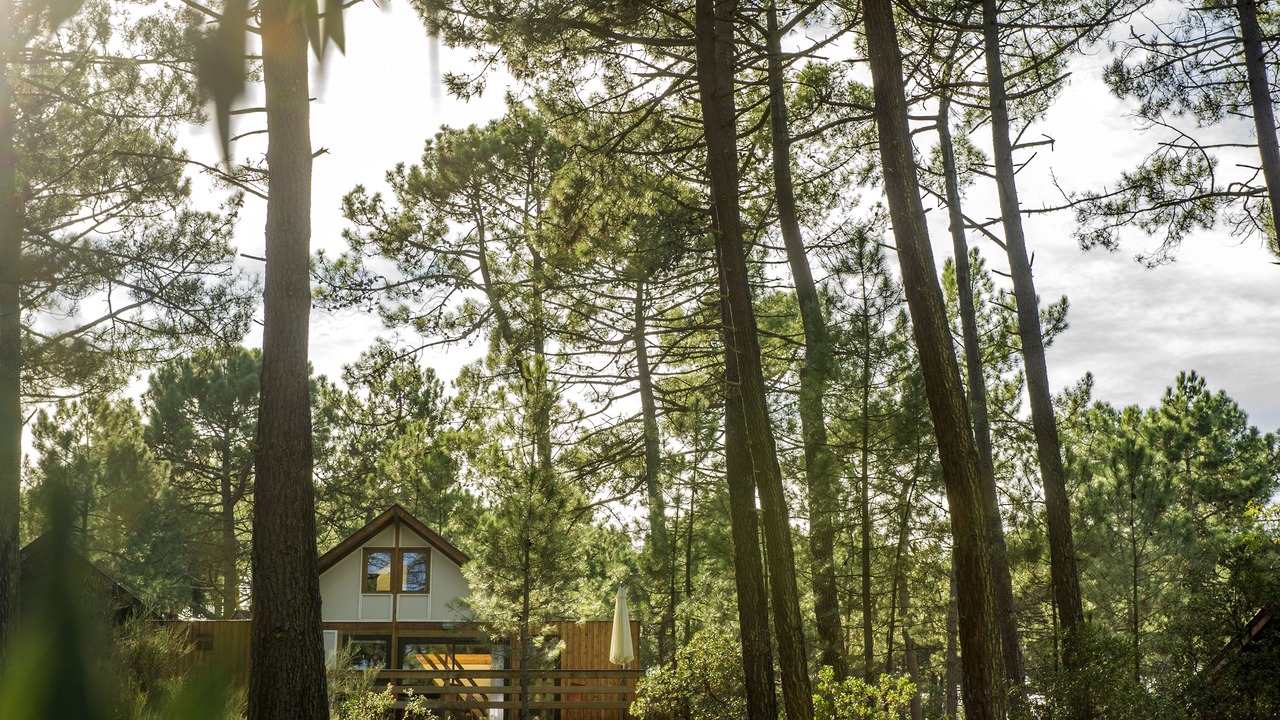 Photo of Outdoor in Maubuisson