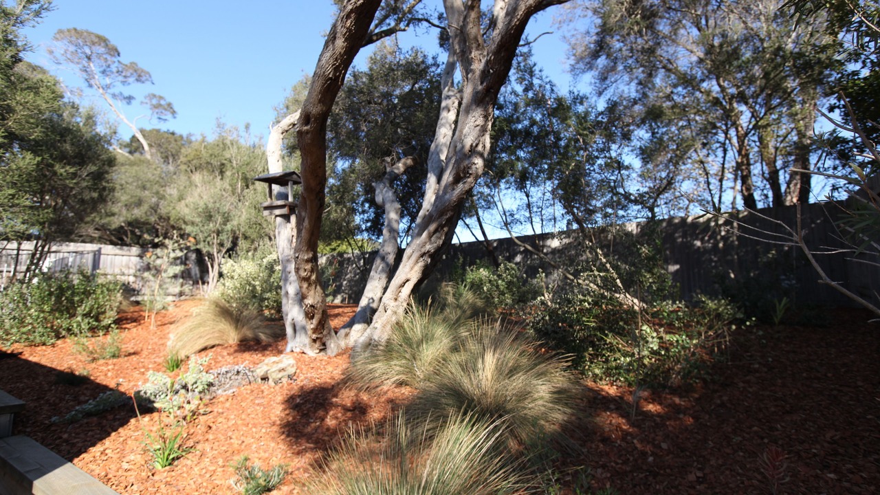 Photo of Outdoor in Rye