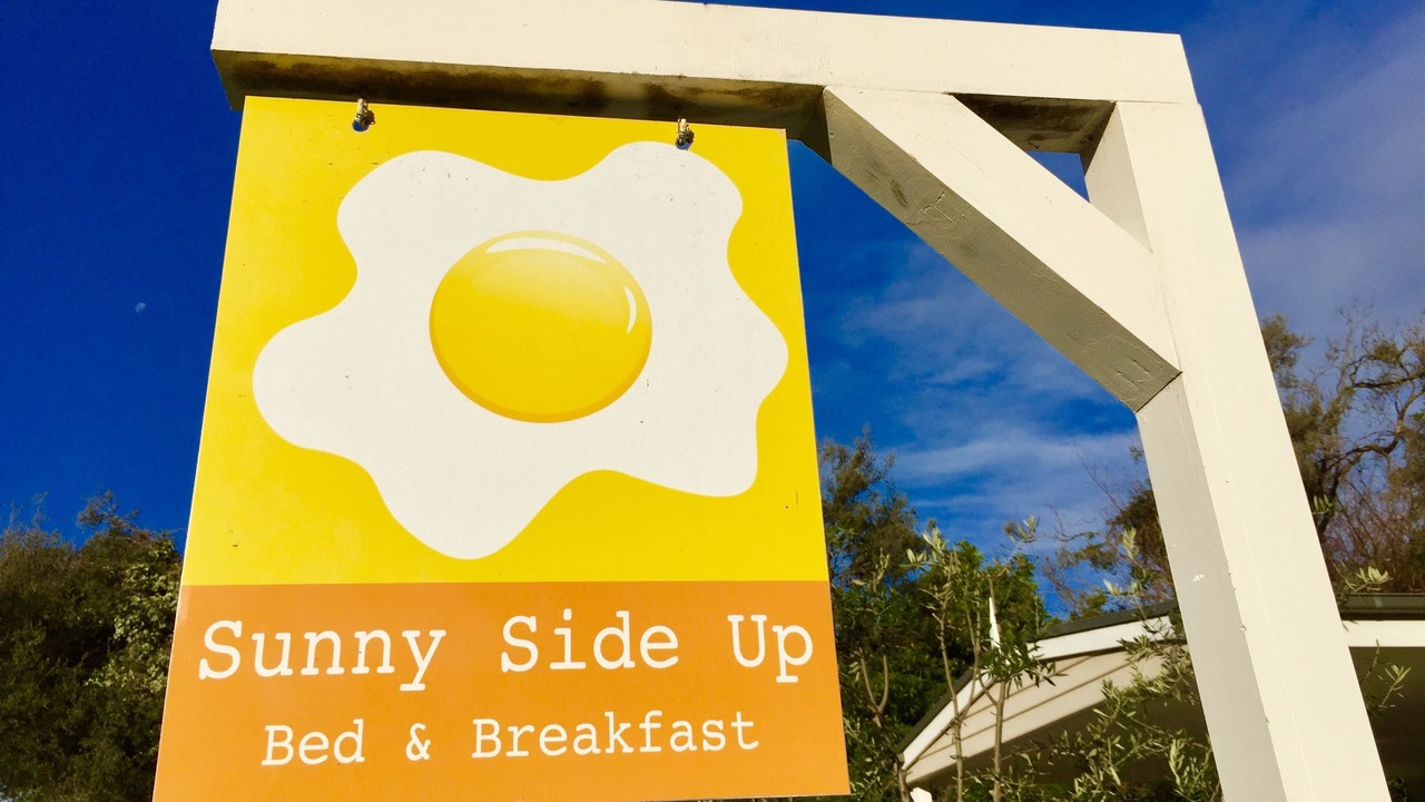 Photo of Outdoor in Rye