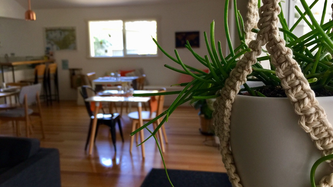 Photo of Others in Rye