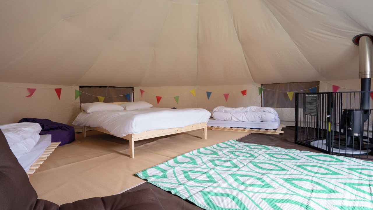 Photo of Others in Whitby