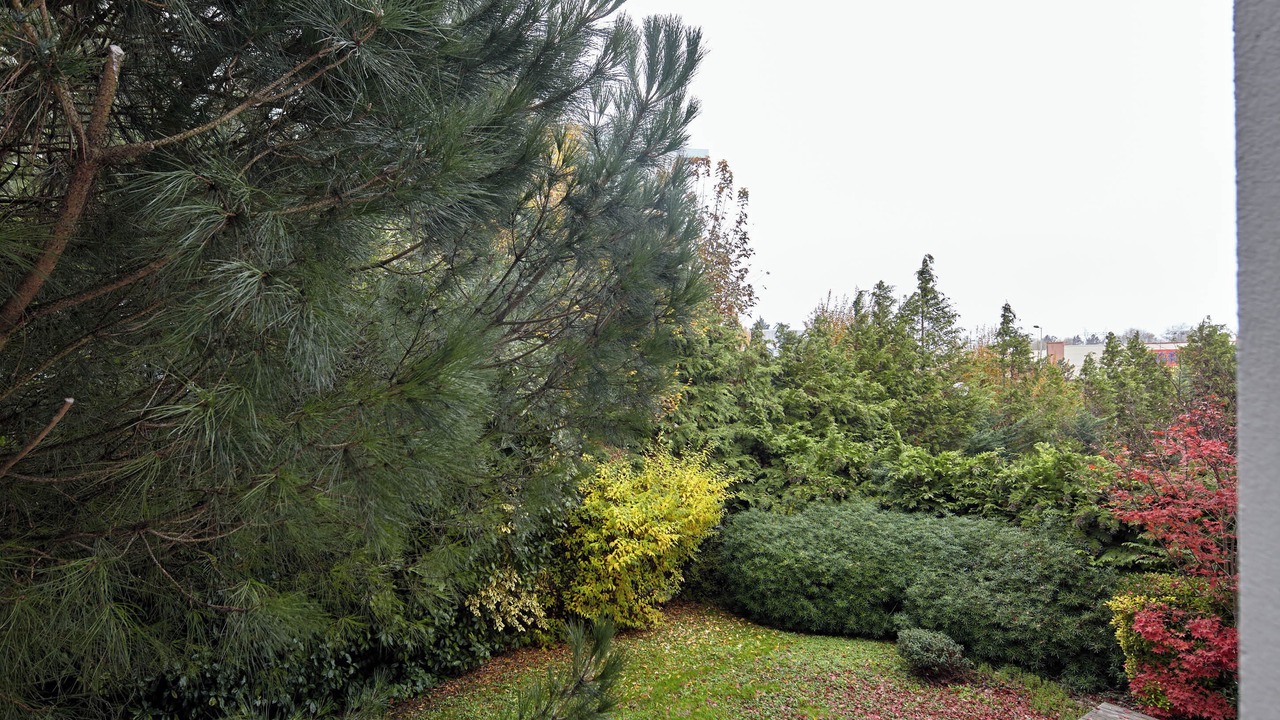 Photo of Outdoor in Lisses