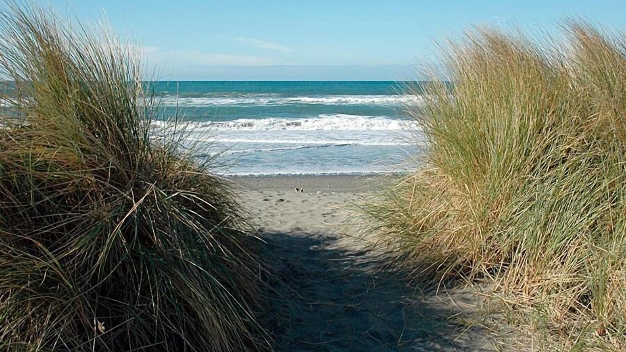 Photo of Others in Gold Beach