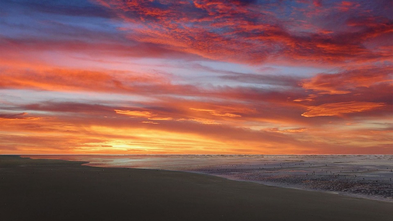Photo of Others in Copalis Beach