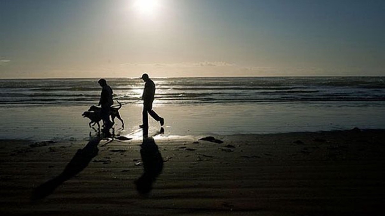 Photo of Outdoor in Copalis Beach