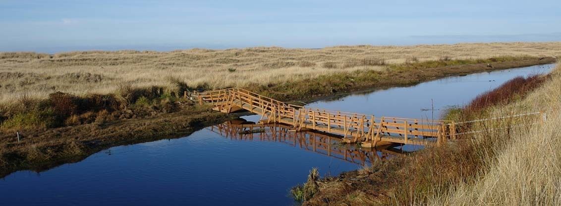 Photo of Outdoor in Copalis Beach