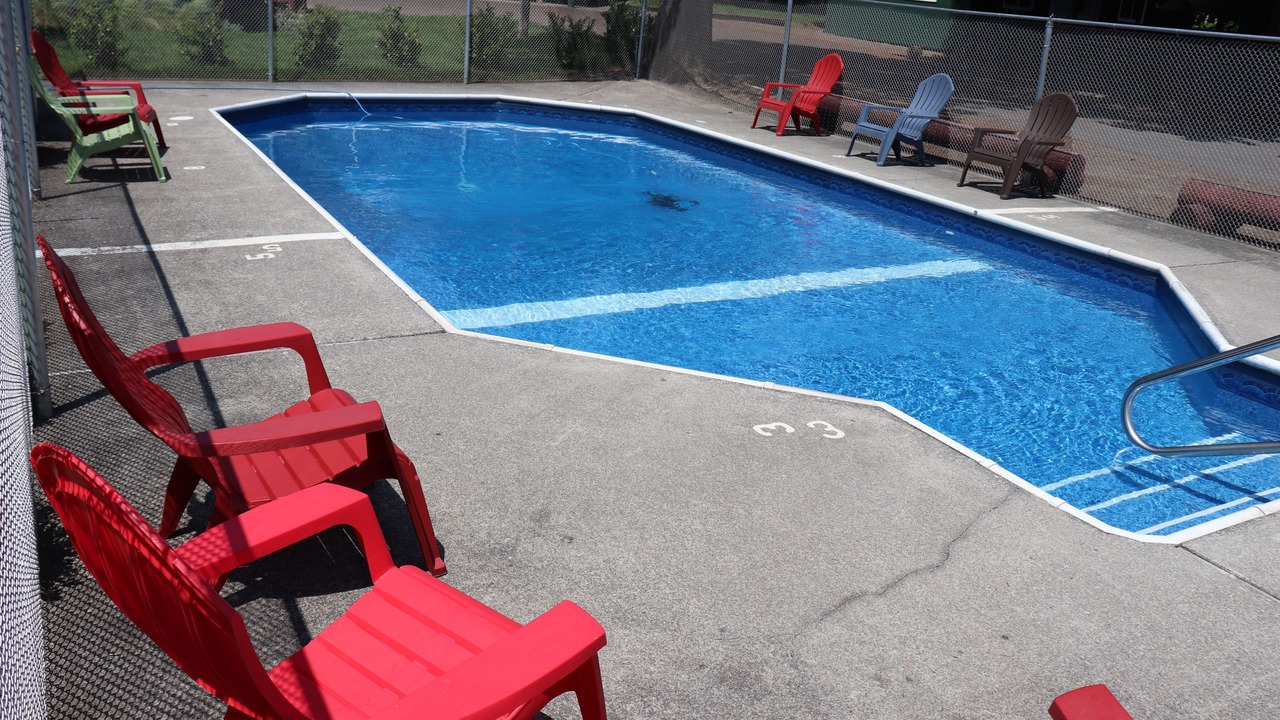 Photo of Outdoor in Cougar