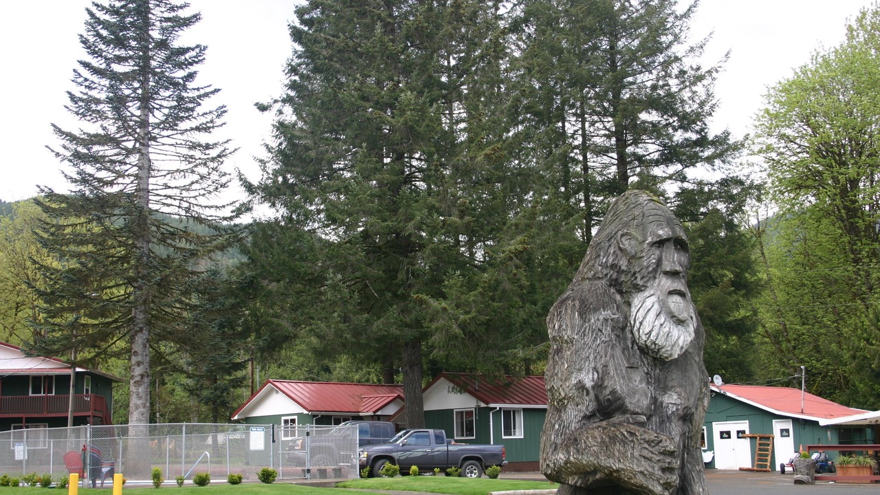 Photo of Outdoor in Cougar