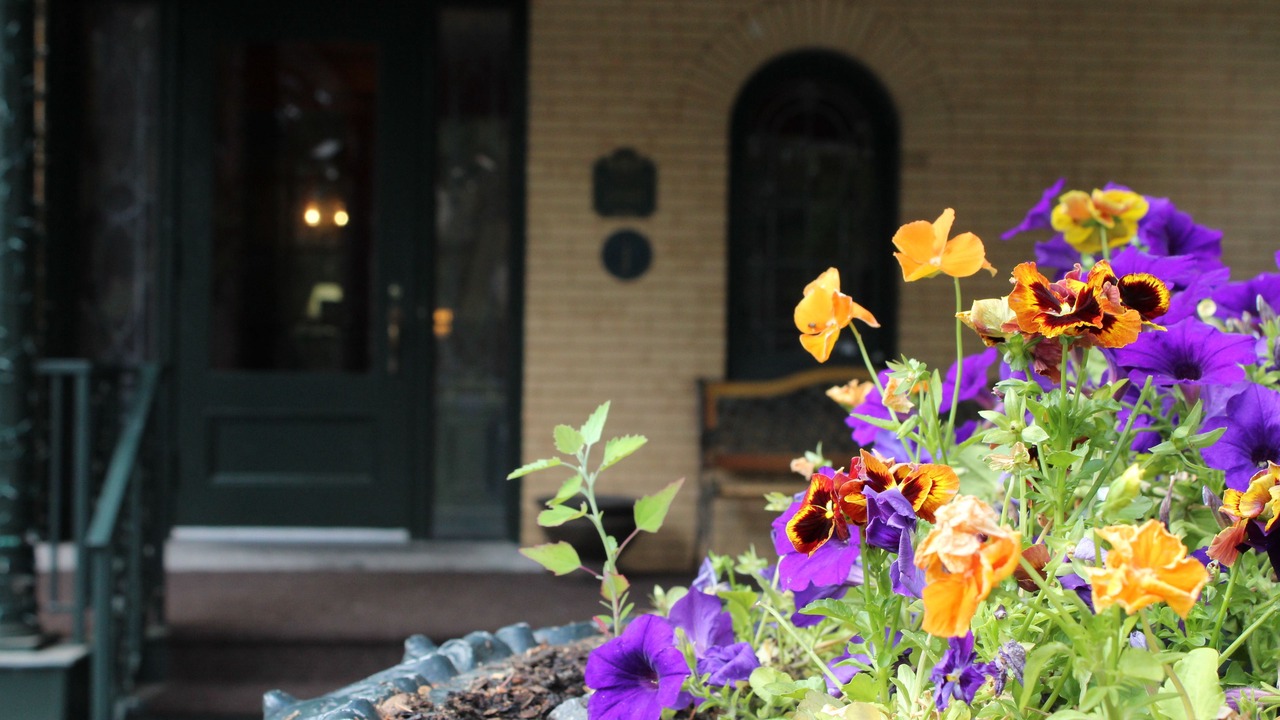Photo of Outdoor in Cazenovia
