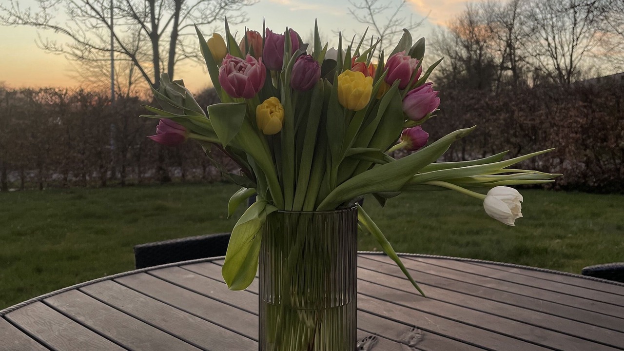 Photo of Outdoor in Herning