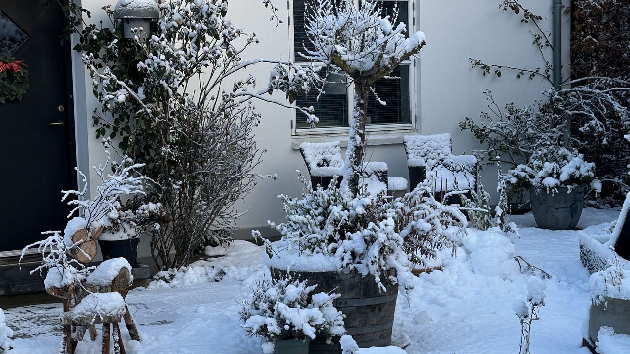 Photo of Patio Balcony in Herning