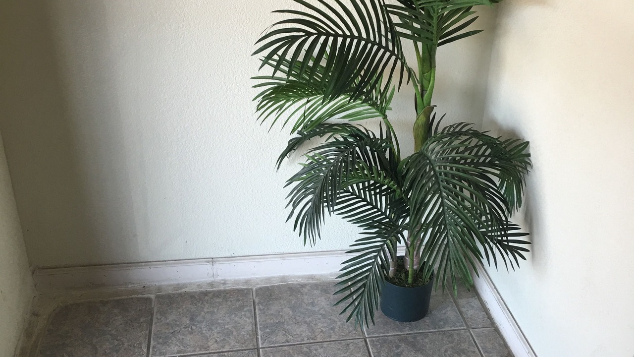 Photo of Outdoor in Marianna