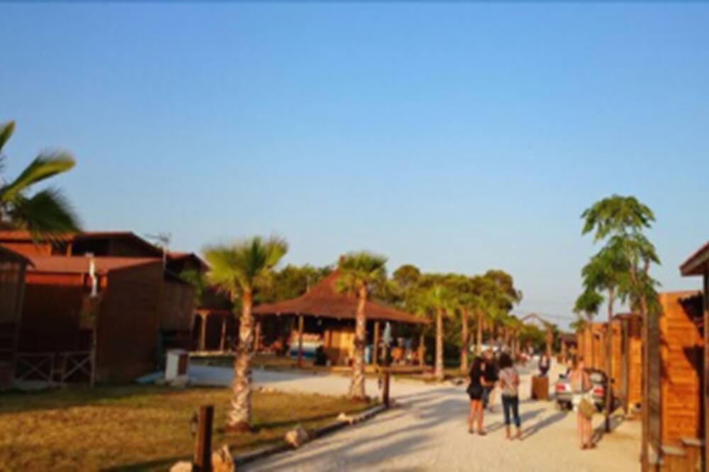 Photo of Outdoor in El Saler