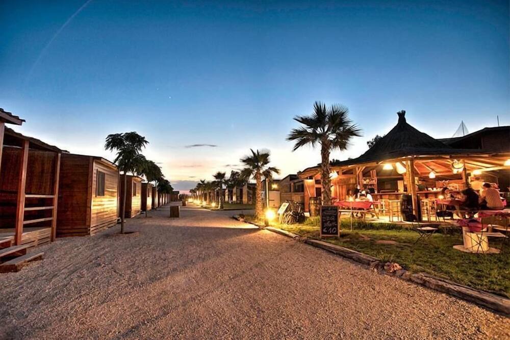 Photo of Outdoor in El Saler