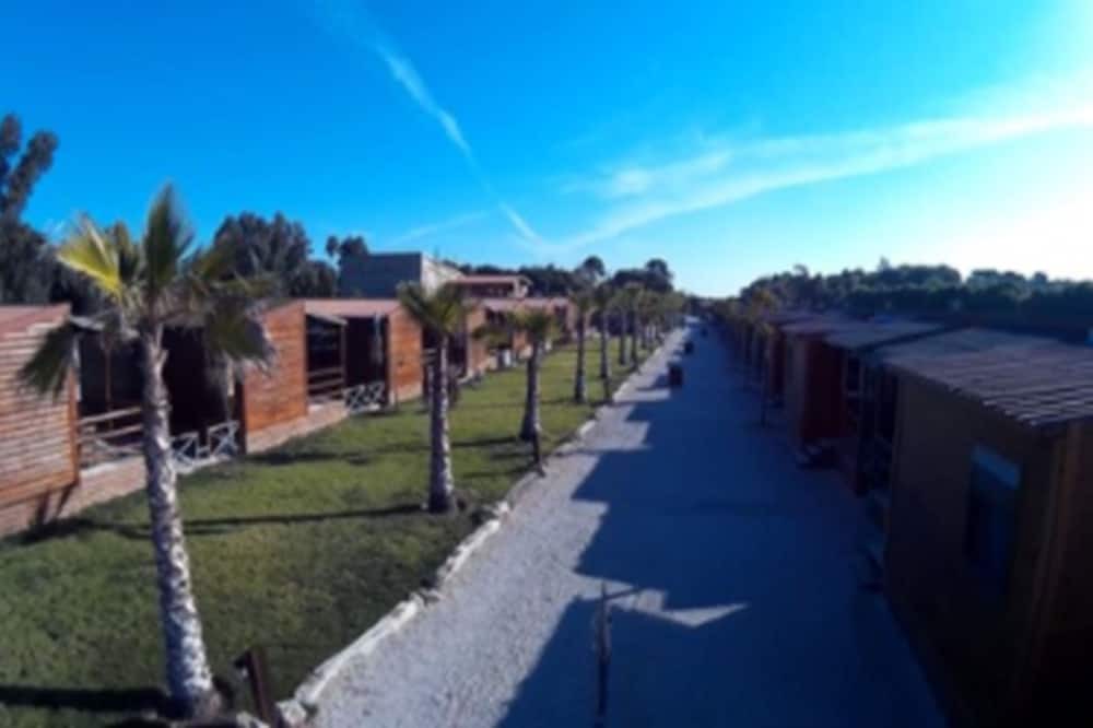 Photo of Outdoor in El Saler