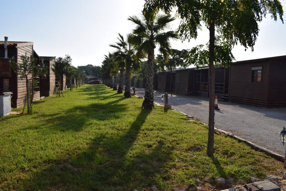 Photo of Outdoor in El Saler