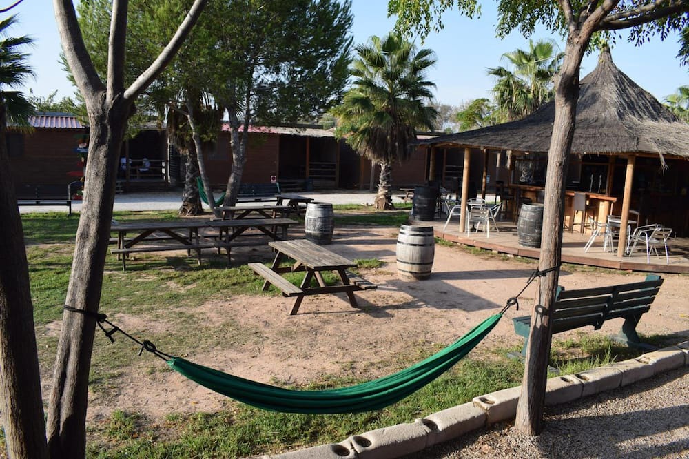 Photo of Outdoor in El Saler