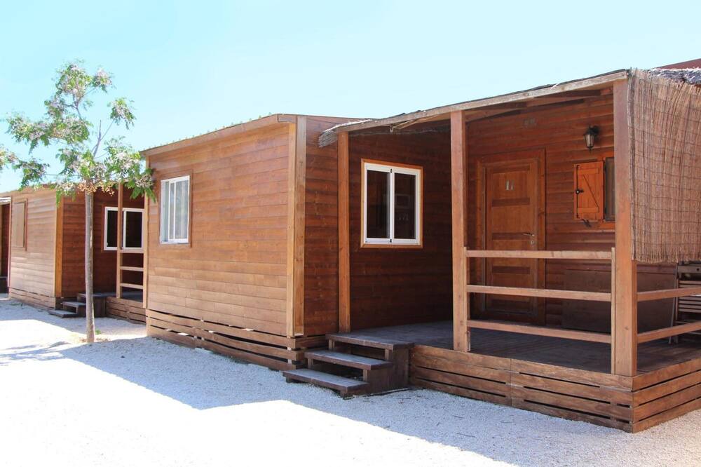 Photo of Outdoor in El Saler