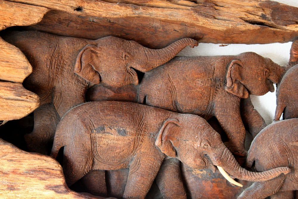 Photo of Others in Houlgate