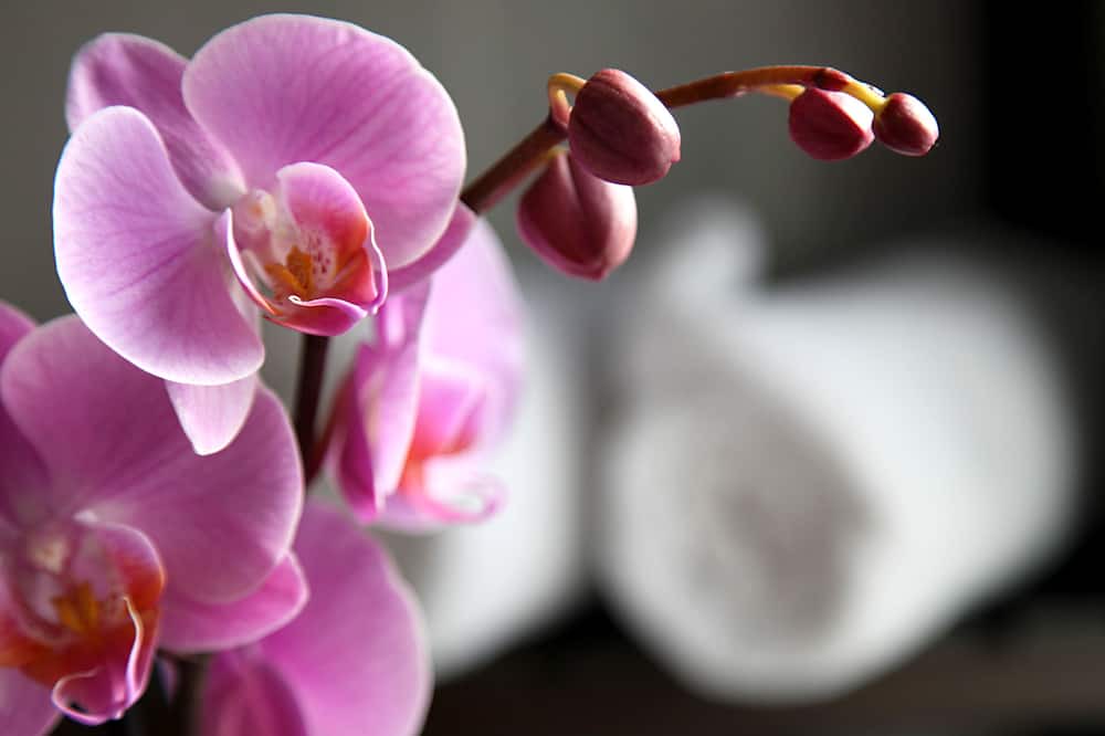 Photo of Others in Houlgate