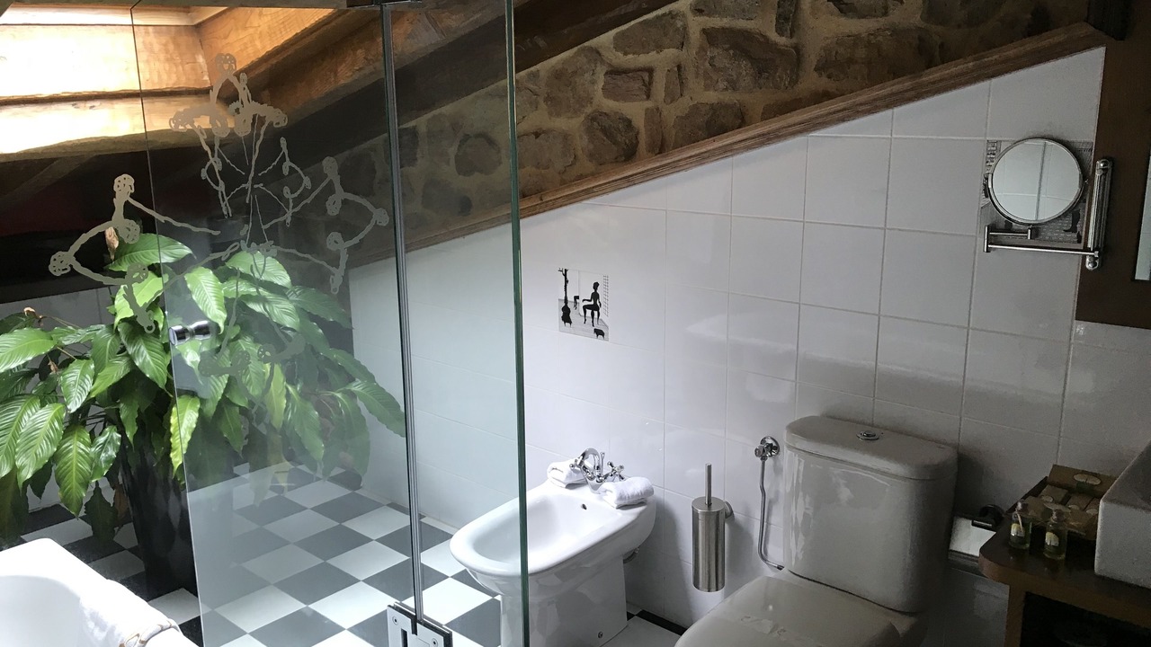Photo of Bathroom in Escobedo