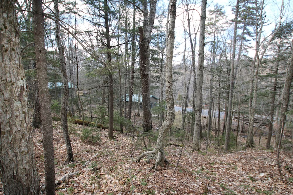 Photo of Outdoor in Eagle Bay