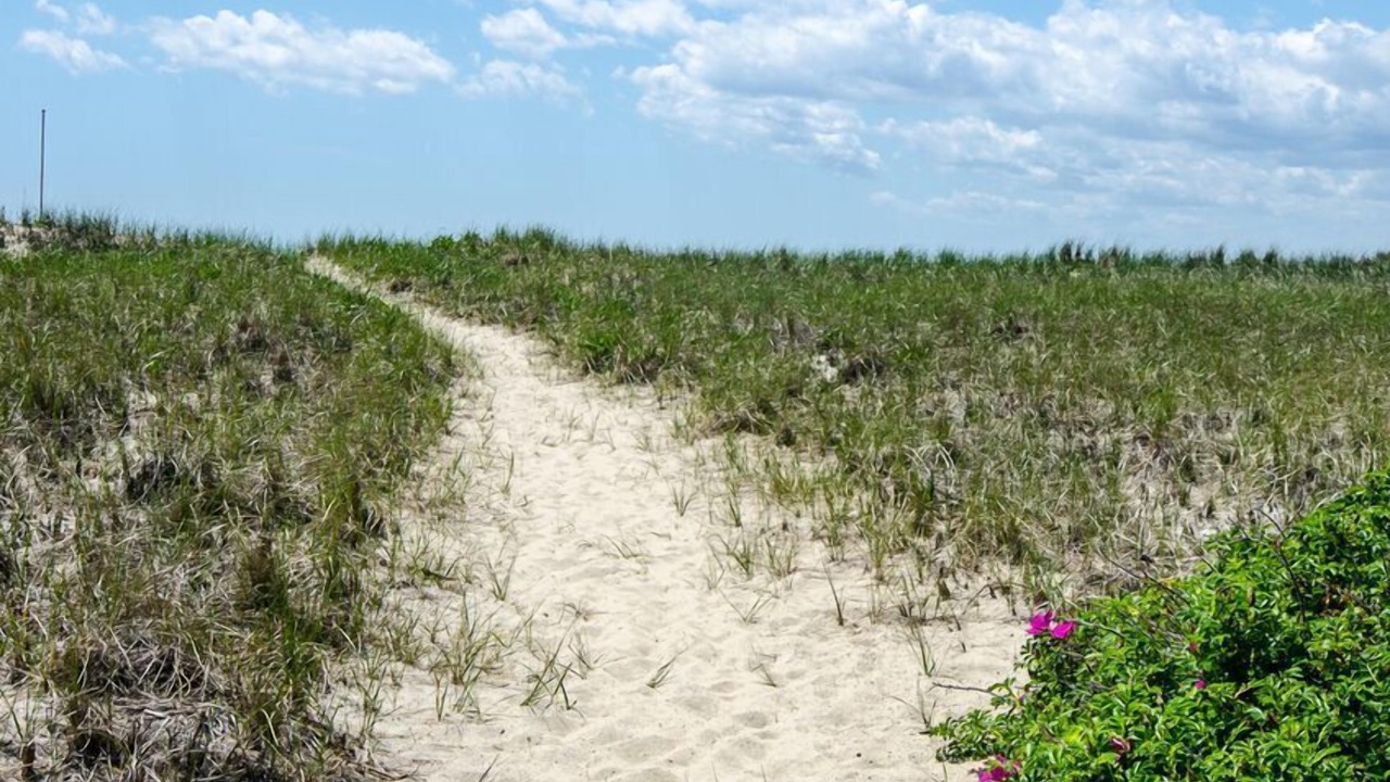 Photo of Others in North Truro