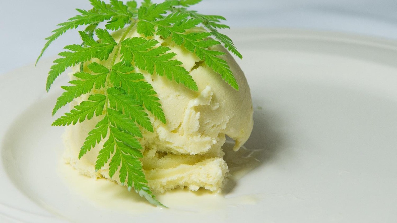 Photo of Others in Baddeck