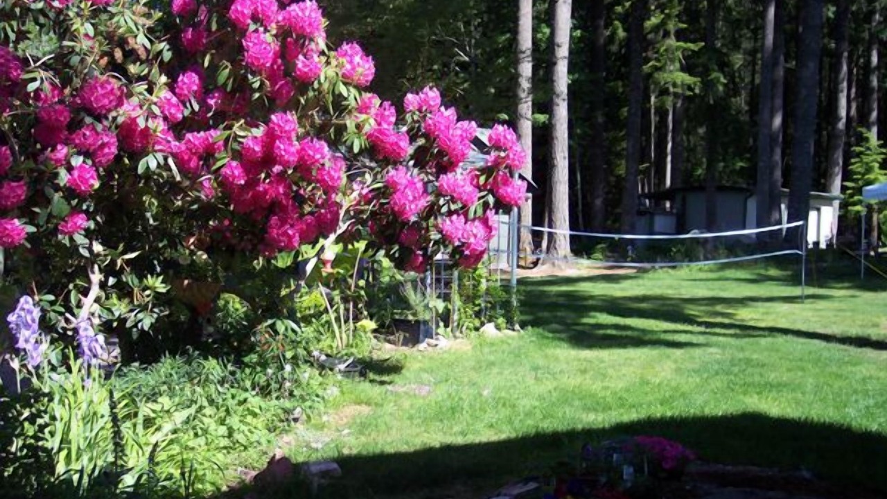Photo of Outdoor in Packwood