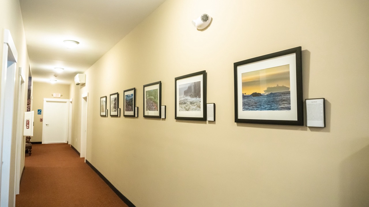 Photo of Others in Bar Harbor