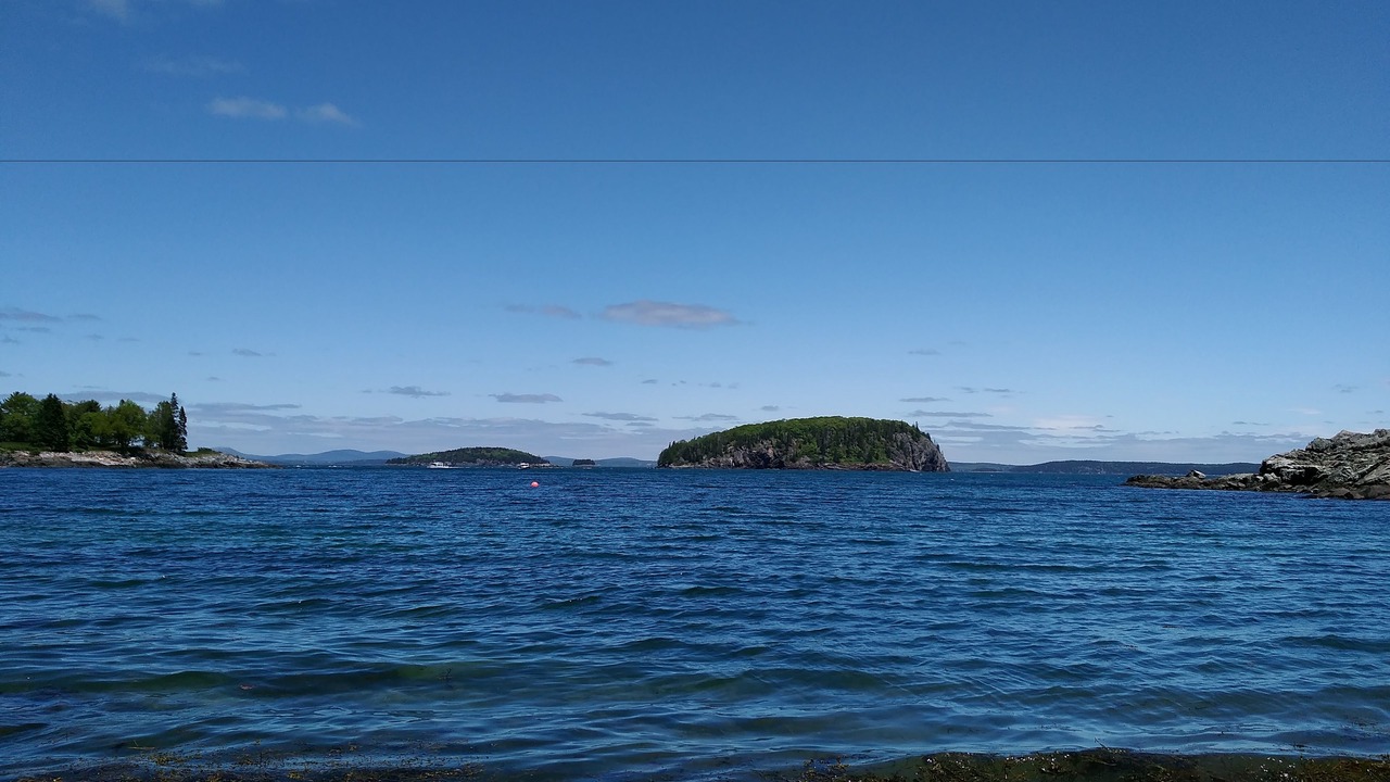 Photo of Others in Bar Harbor