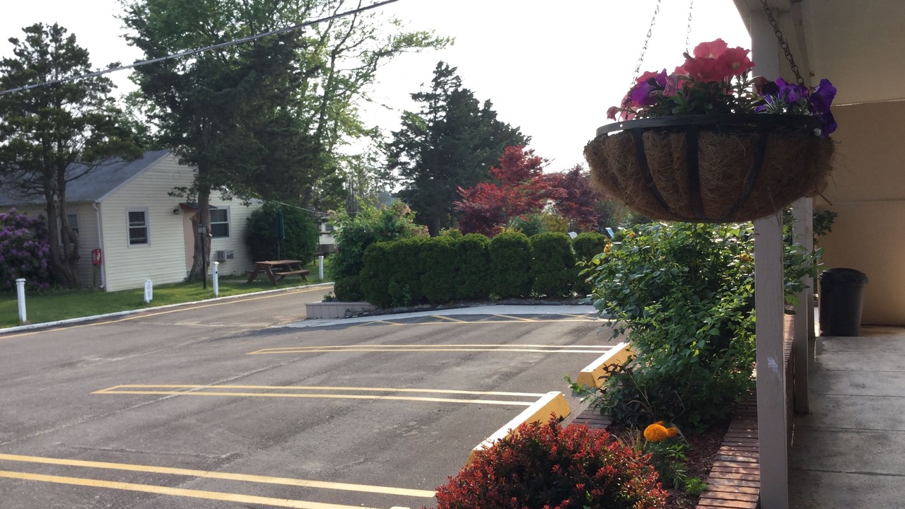 Photo of Outdoor in Hampton Bays