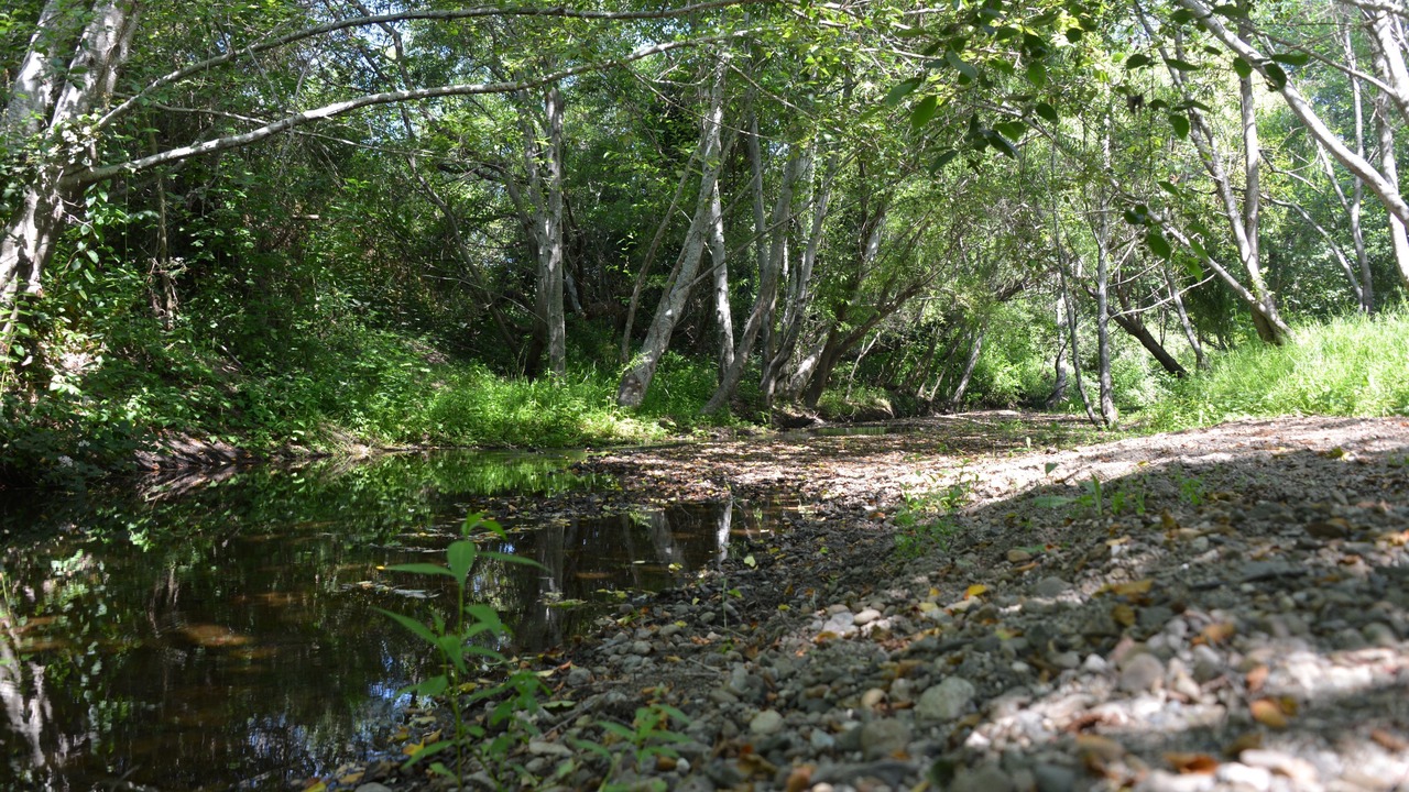 Photo of Outdoor in Olema