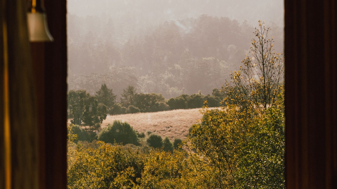 Photo of Others in Olema