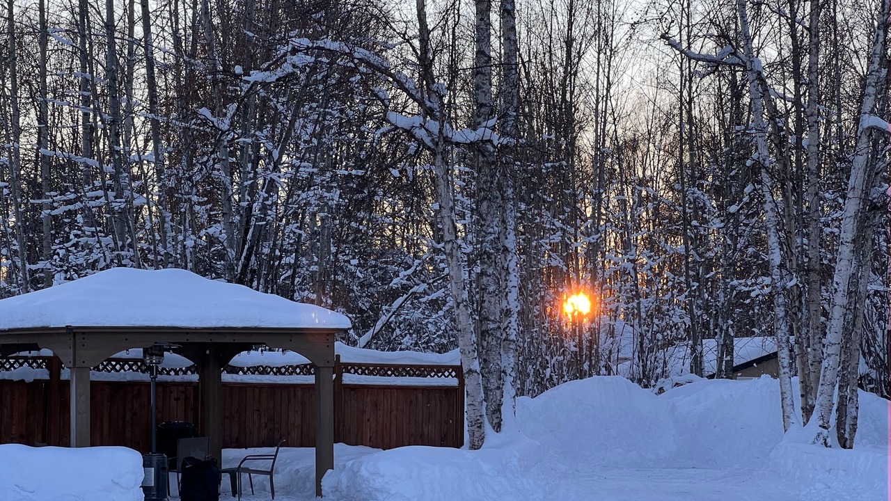 Photo of Outdoor in Talkeetna