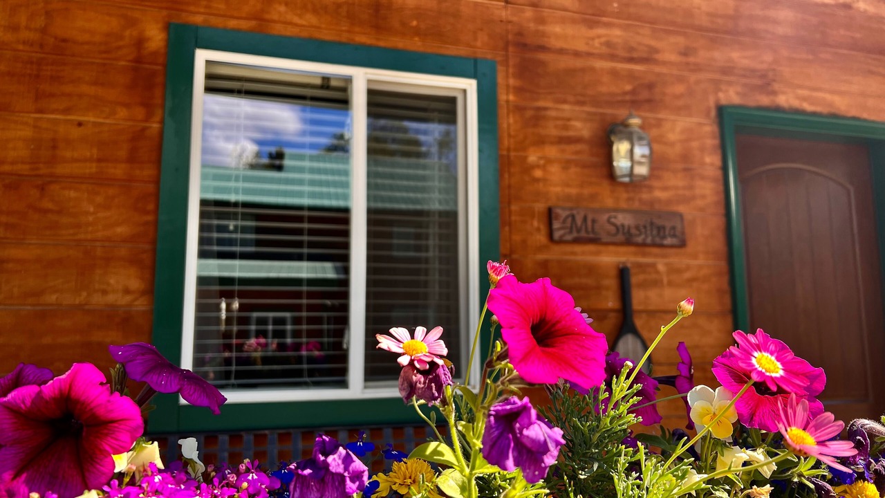 Photo of Outdoor in Talkeetna