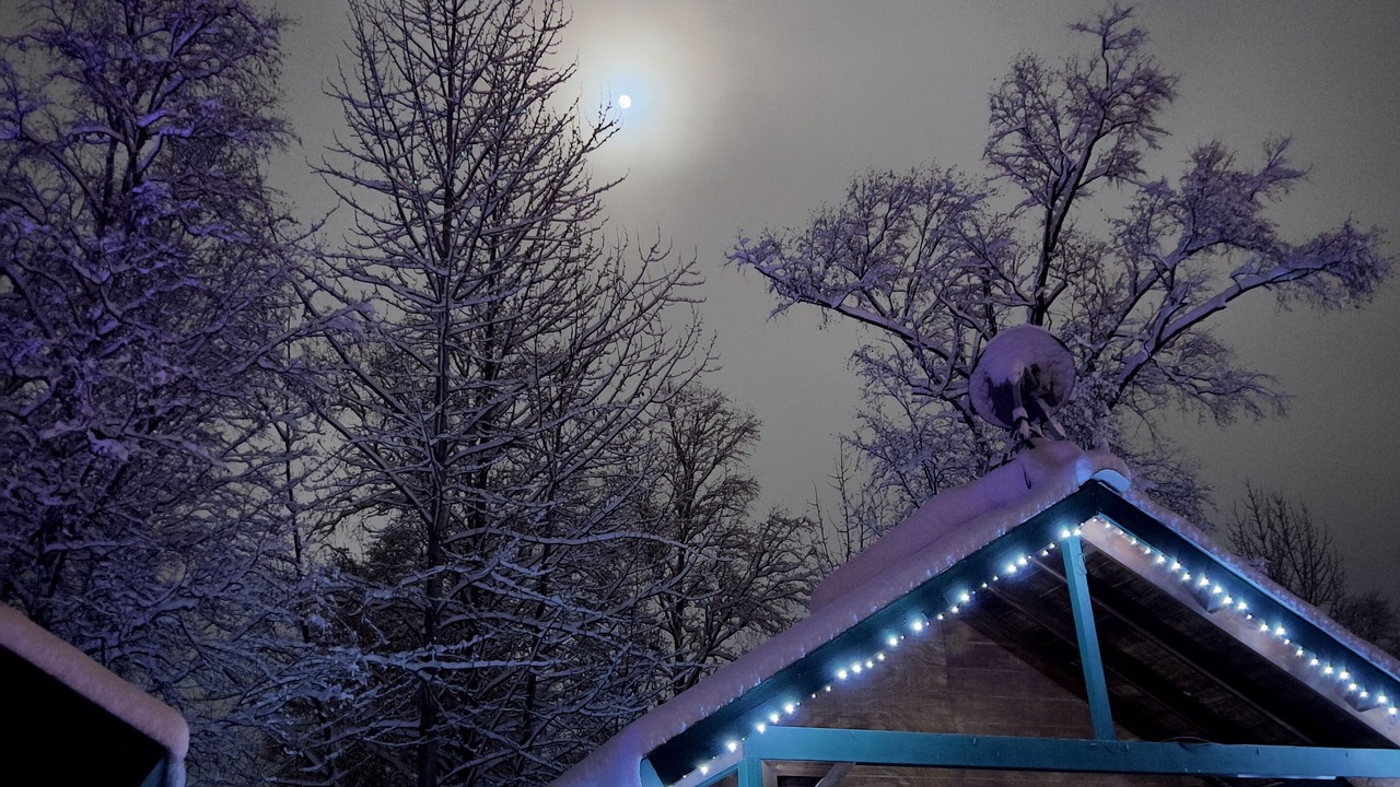 Photo of Outdoor in Talkeetna