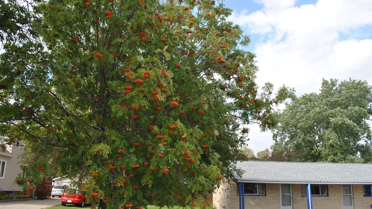 Photo of Outdoor in Neepawa