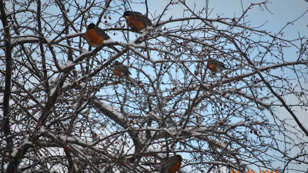 Photo of Outdoor in Neepawa