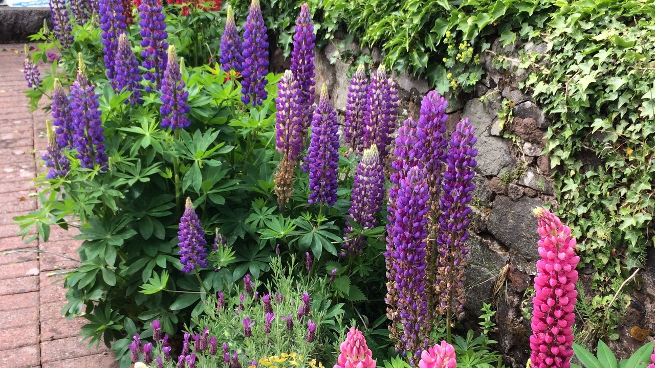 Photo of Outdoor in Auchengray