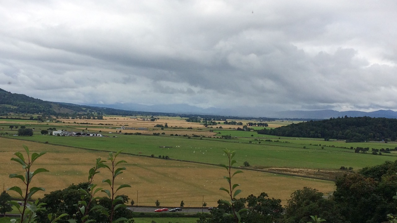 Photo of Others in Auchengray