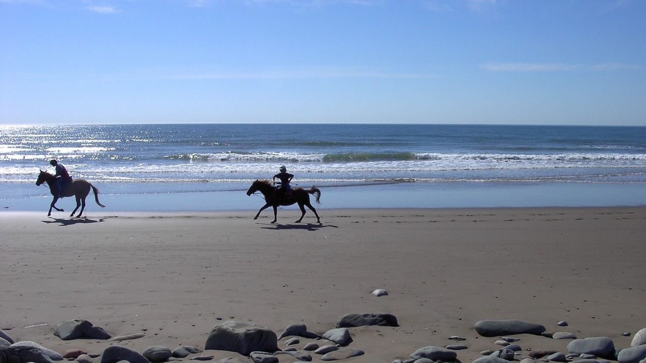 Photo of Others in East Lawrencetown