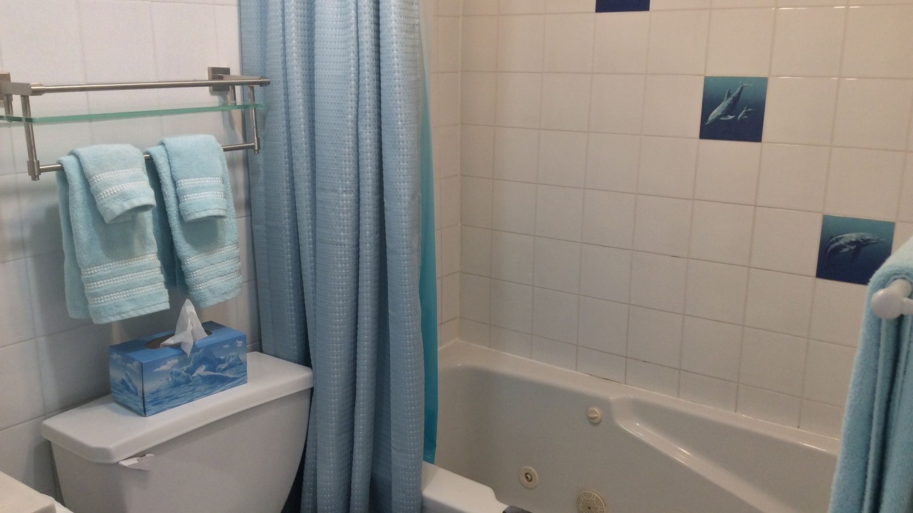 Photo of Bathroom in East Lawrencetown