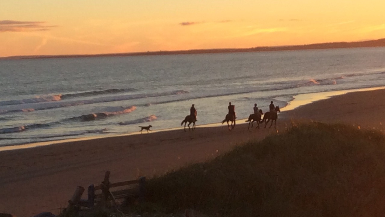 Photo of Others in East Lawrencetown