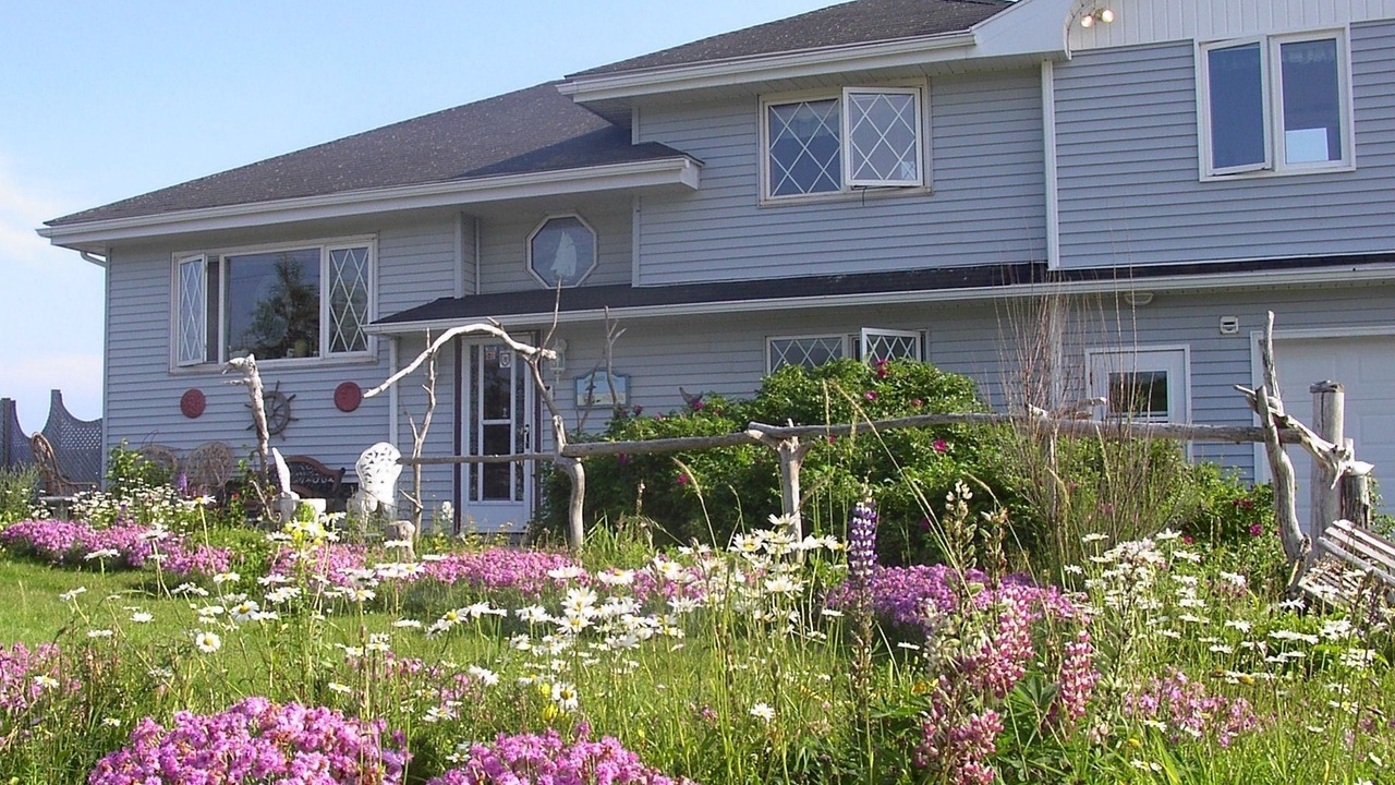 Photo of Outdoor in East Lawrencetown