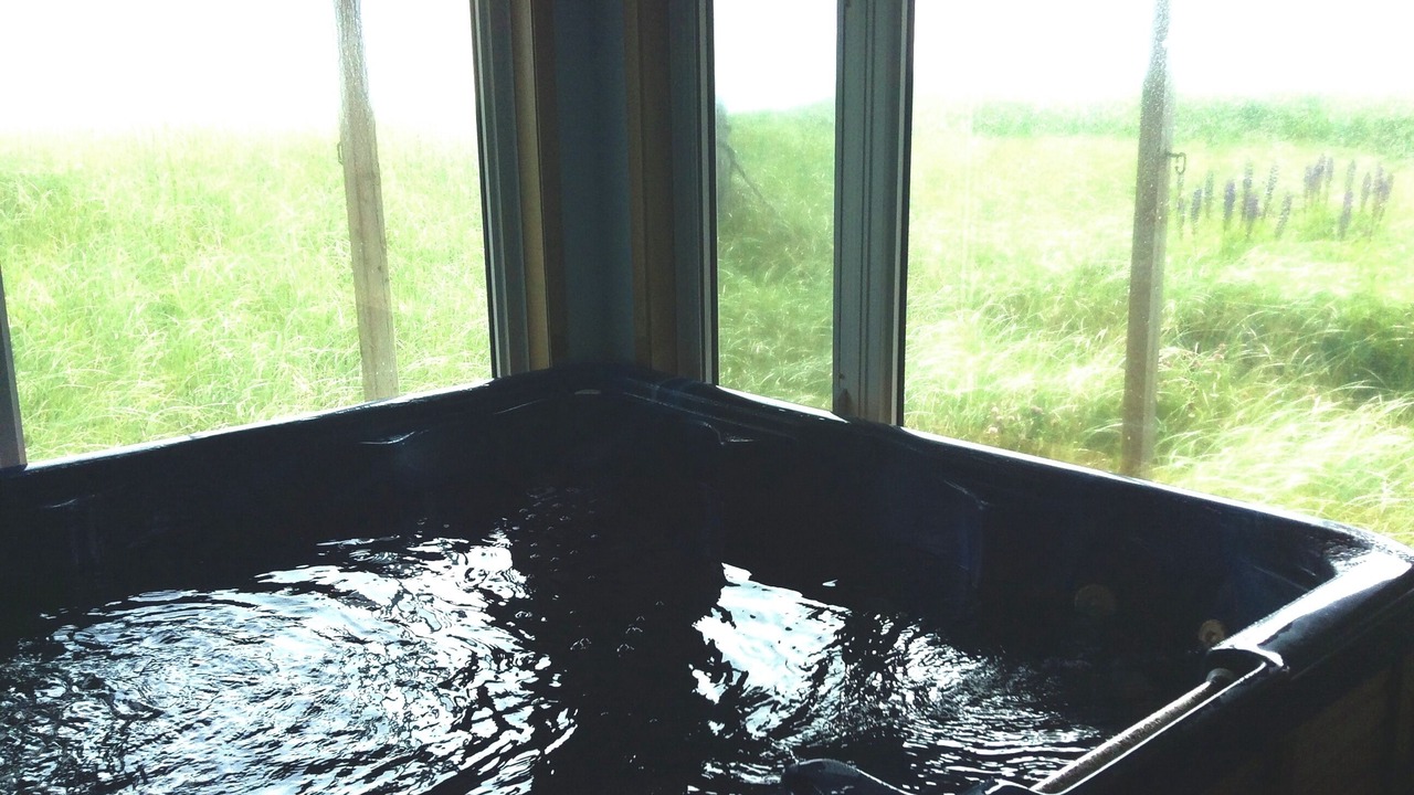 Photo of Others in East Lawrencetown